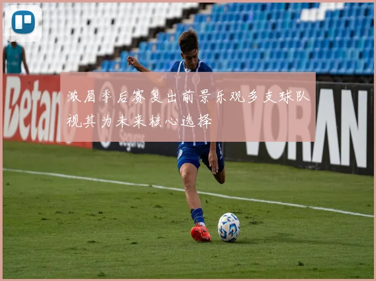 浓眉季后赛复出前景乐观多支球队视其为未来核心选择
