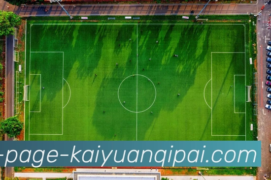 开元体育发展历程